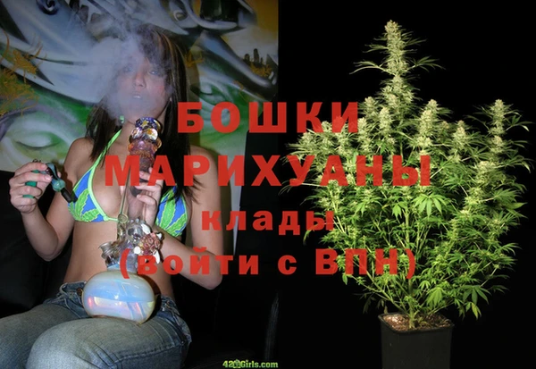 соль ск Пересвет