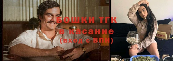 соль ск Пересвет