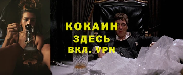 соль ск Пересвет