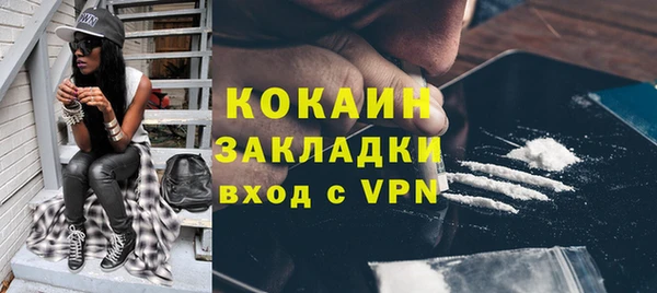 соль ск Пересвет