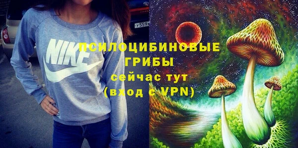 индика Осташков
