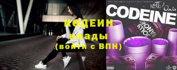 соль ск Пересвет