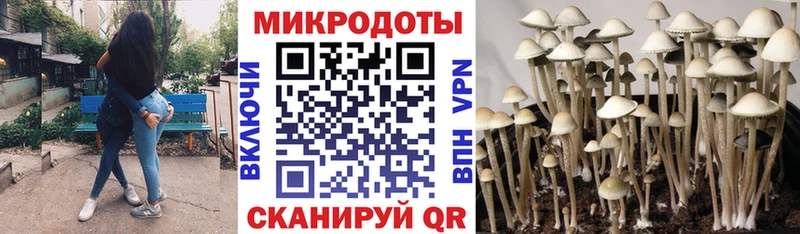 цены   гидра   Галлюциногенные грибы мухоморы  Белоярский 